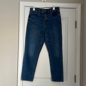American Eagle Mom Jeans - Size 10 Regular